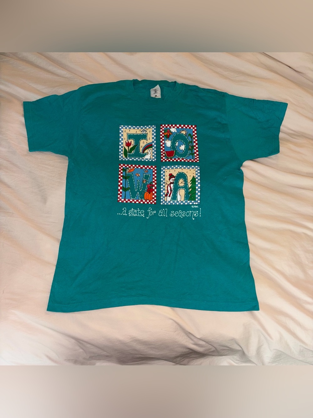 Vintage Fruit of the Loom Teal Iowa Cotton Polyester Quilt Graphic Shirt size L